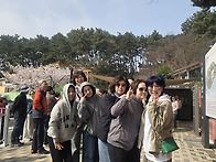 상화원-그리고 튤립꽃박람..