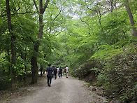 선운사 참당암 갔다,학원농..