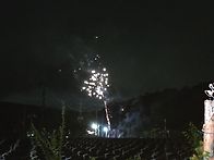 금산 부리면 압수마을 동네..