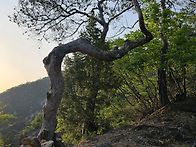 2일차 사진