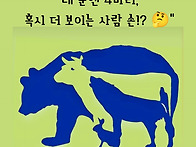 몇 마리나 찾으셨..