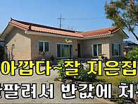 넓은 대지에~평생 살려고 ..