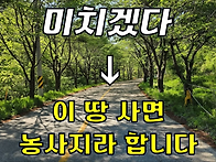 세상에 이런 일이~이 땅에..