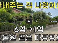 식물원 같은 마당정원 있는..