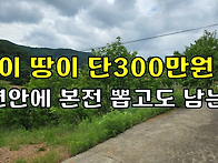 분명한 것은 3년안에 본전..