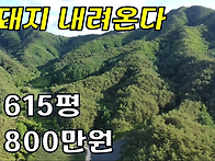 국유림자락 도로접한 615..