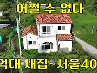 쌀 때 사세요~서울에서 4..