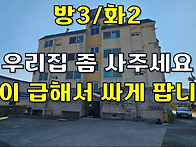 얼마나 돈이 급하길래 이렇..