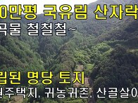 180만평 국유림 산자락 계..