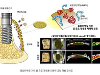 1516정태유 생체모..