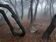 황매산에서 새벽에