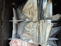 시드볼트에 기증할 씨앗 ..