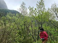 마이산 숲길