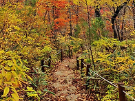 2025년11월23일(일) 지리..