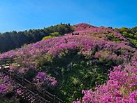 2026년5월3일(일) 봉화산..