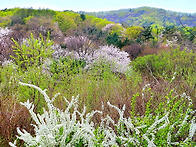 2026년4월12일(일) 국사..