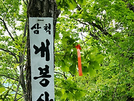 2025년5월25일 ..