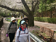 2026년4월5일 진..