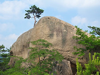 2026년7월19일(일) 석화..