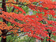 2025년11월16일(일) 문필..