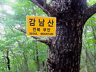 2025년11월9일(일) 갑남..