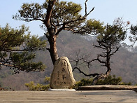 2025년11월30일(일) 연어..