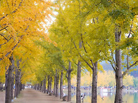 20251101 가을출사(문광저..