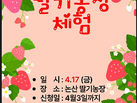 4월17일 딸기농장체험 신..