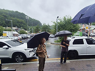 2026년 초복 행사