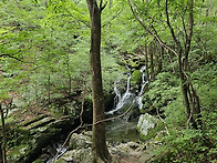 가리왕산(해발1,561m/강..