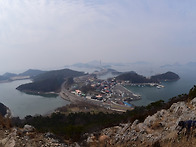 산자고