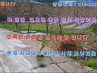 (물건 1393) 이 땅만 있으..