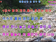 ﻿(물건5100)..