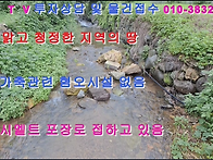 (물건1391)맑고 청정한 지..
