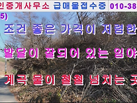﻿(전속005) ..