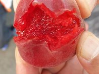 2024년6월 중순 부터 판매..