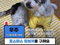 [임보요청] '우주..