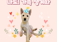 행복한 마음으로 ..