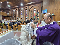 2025.11.02 축일, 생일 ..