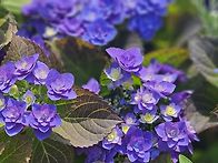 눈이 호강하는 하루였어요..