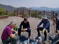 3월29일(일)진달래꽃이 만..