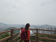 5월2일 비봉산자락