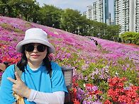 4월22일(수)무성봉+철쭉동..