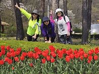 4월15일(수)철쭉동산+수리..