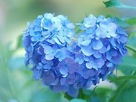 설봉그룹 산하 전국대회 ..