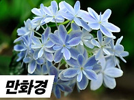 만화경