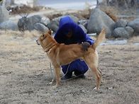 호두 ㅡ 별이 되다