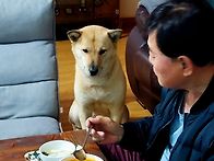 밥상머리 교육 ^^