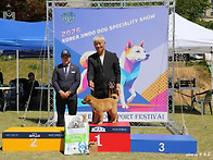2026 5.9.코리아 독 스포츠 대회 화성지부