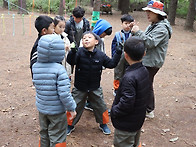 마지막 숲활동